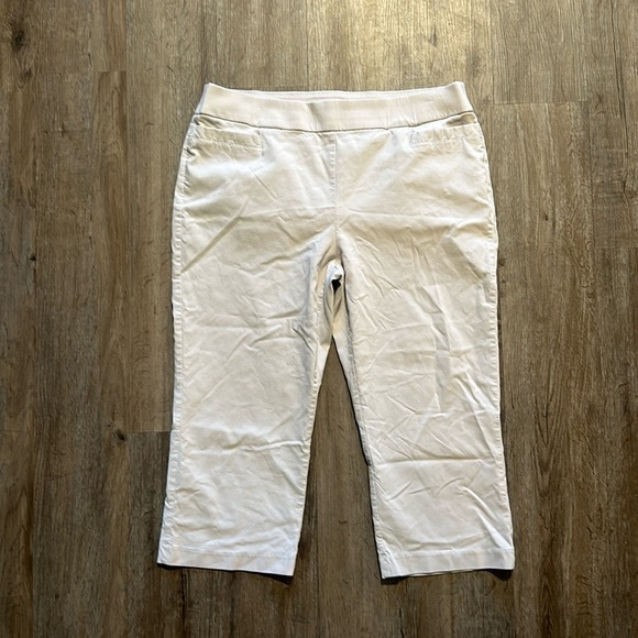 CORAL BAY CAPRI PANTS SIZE(14) - Picture 1 of 5